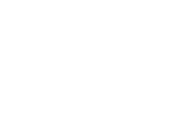 Tann Grøna Matveitingin